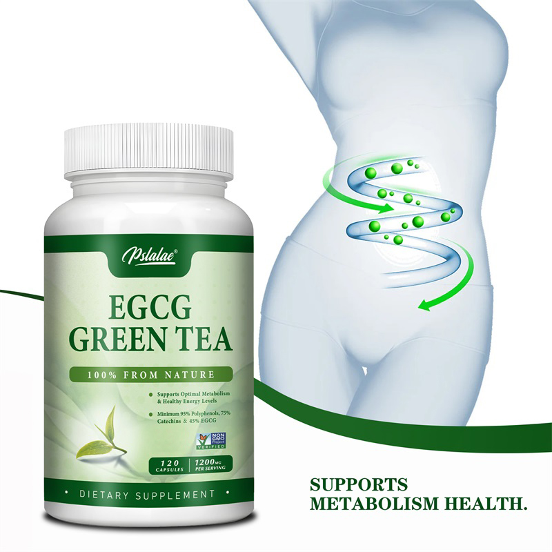 EGCG Green Tea Extract - Boost - Green Tea Extract Fat 评论和价格